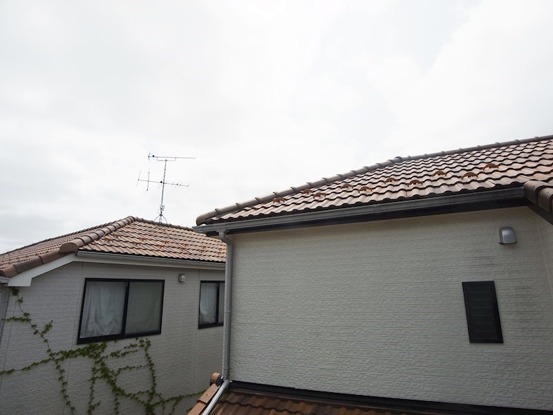 ラ・プランタン その他6