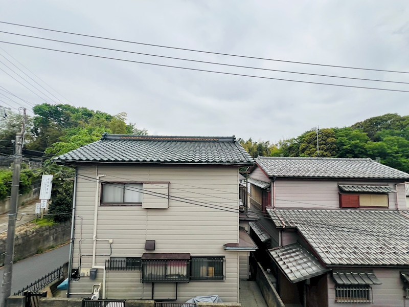 ウィステリア その他6