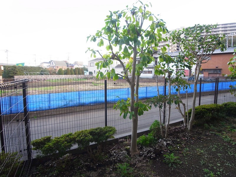 モラダ・アケボノ その他6