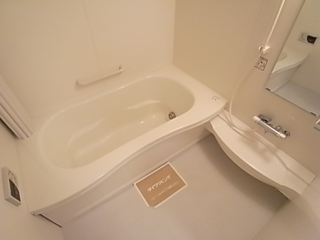 ブエナビスタ その他20