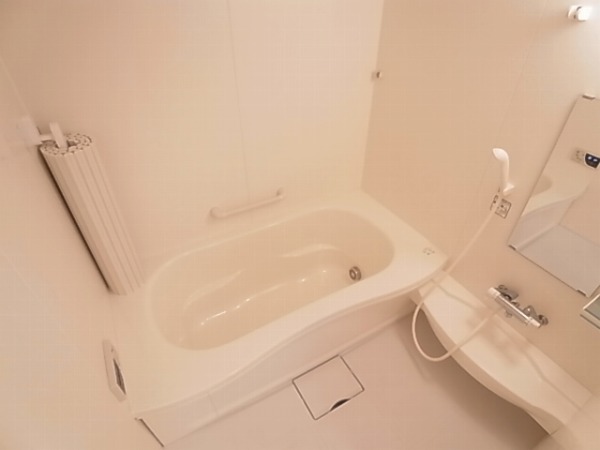 ブエナビスタ 風呂画像