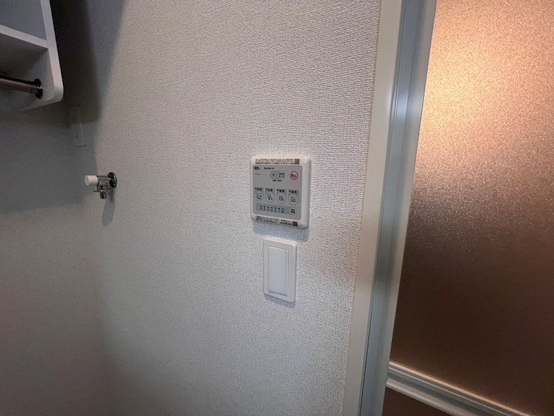 フリージアⅡ その他24