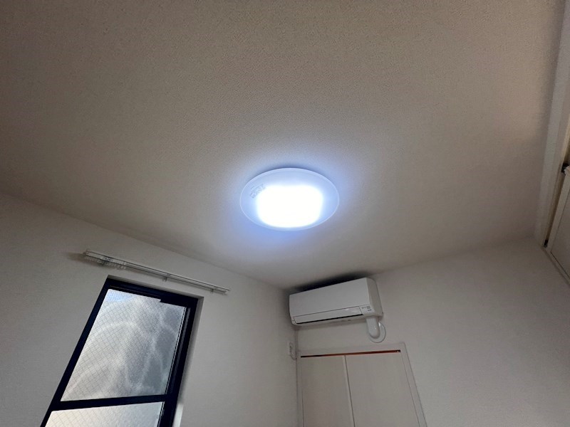 フリージアⅡ その他29