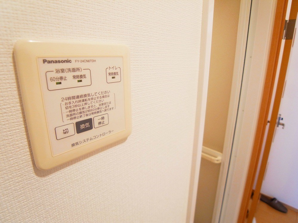 ヴェルドミール１ その他11