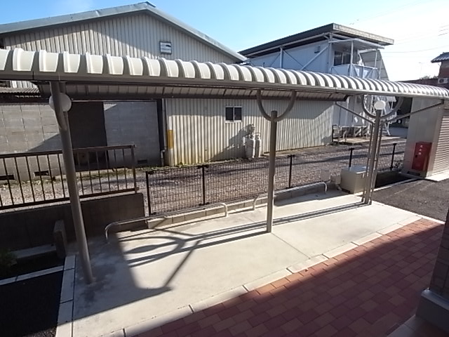 ビオラ その他外観2