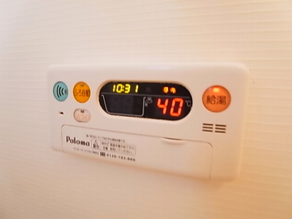 ビオラ その他10