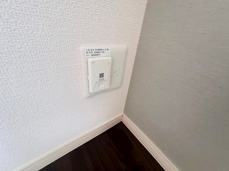 フィーカⅠ その他