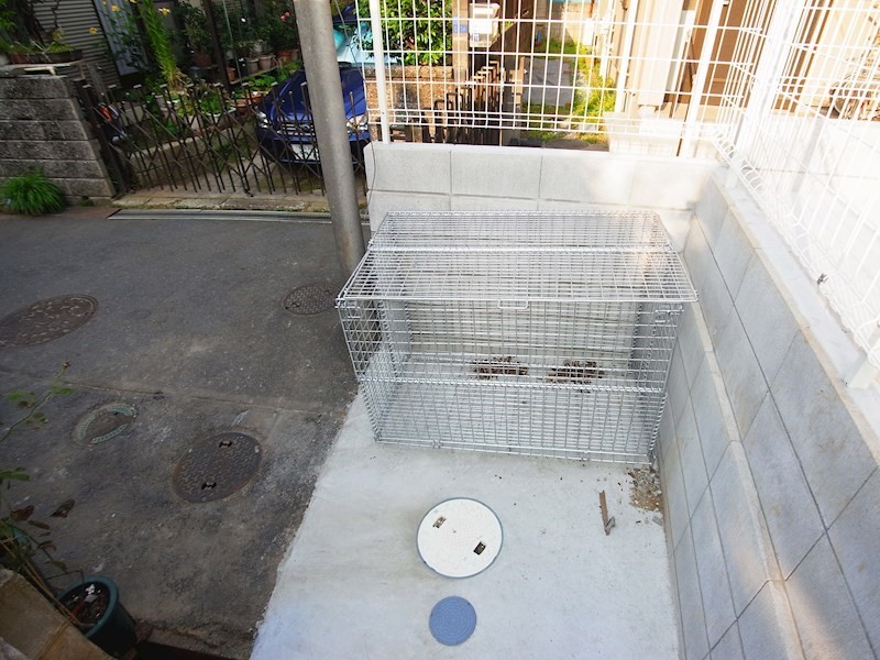 ヒルズ新柏 その他外観4