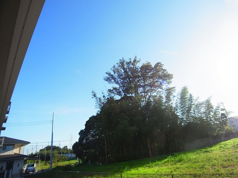 ウエスト レジデンス その他6