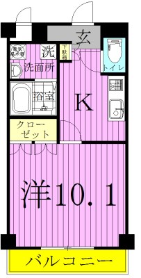 ＳＯＵＴＨ　ＨＡＬＥ 302号室 間取り
