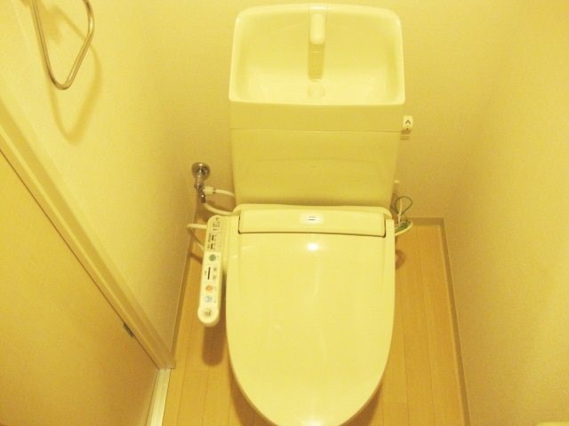 ＳＯＵＴＨ　ＨＡＬＥ その他1