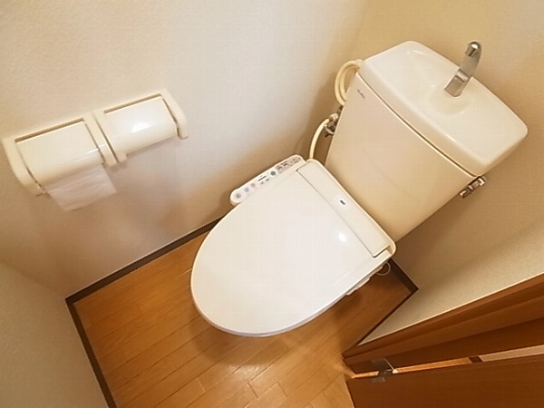 フェニックス その他18