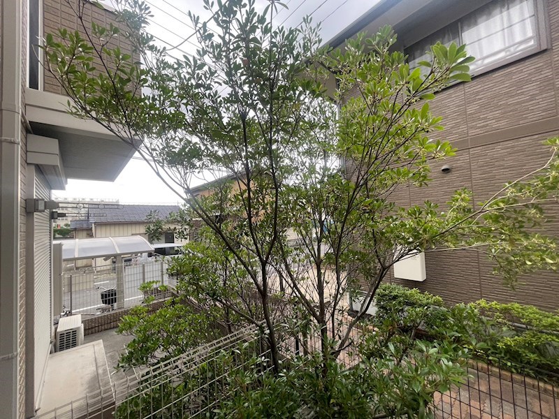 クレベール（西伊興） その他24