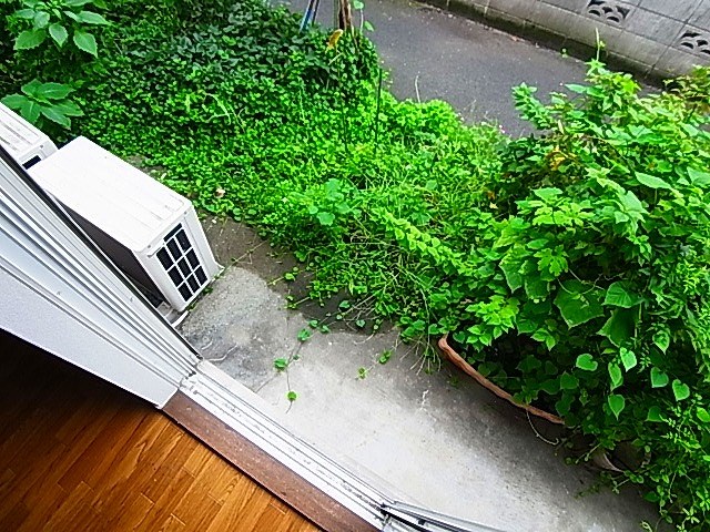 エステートピア勝間 その他14