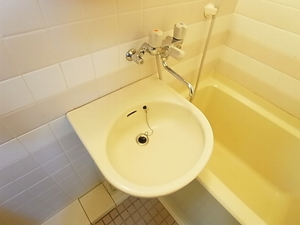 ロマネあけぼの その他2