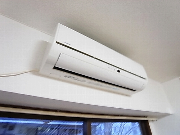 ロマネあけぼの その他6