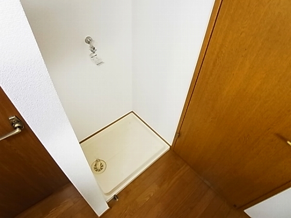 ロマネあけぼの その他11