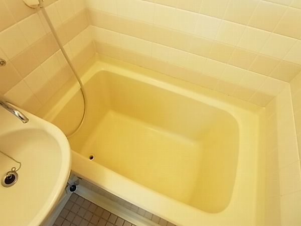 ロマネあけぼの その他18