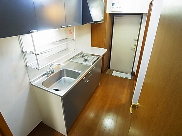 ロマネあけぼの その他19