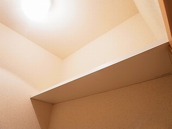 ロイヤルヒルズ春日D その他12