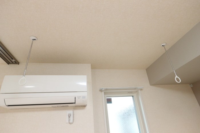 デュランタ その他5