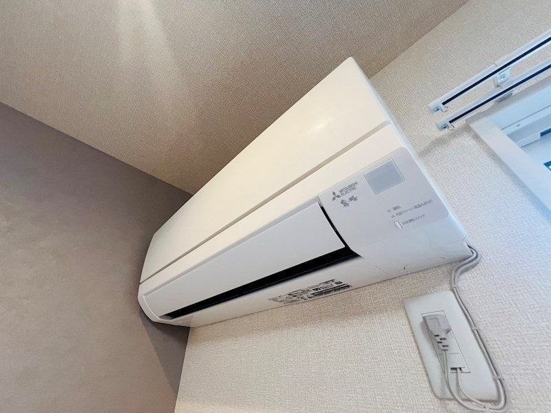 デュランタ その他6