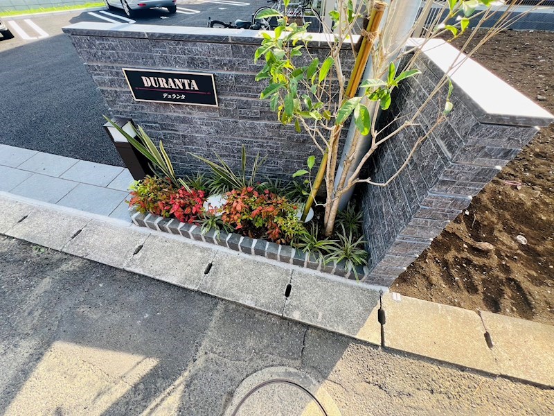 デュランタ その他外観6