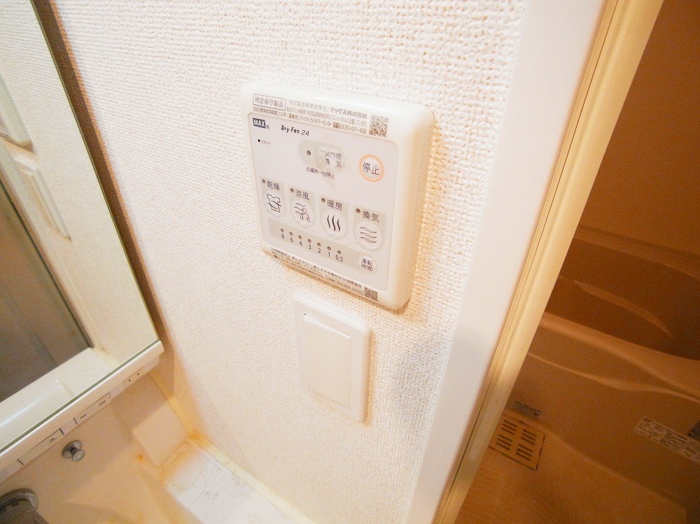プラシード（扇） その他13