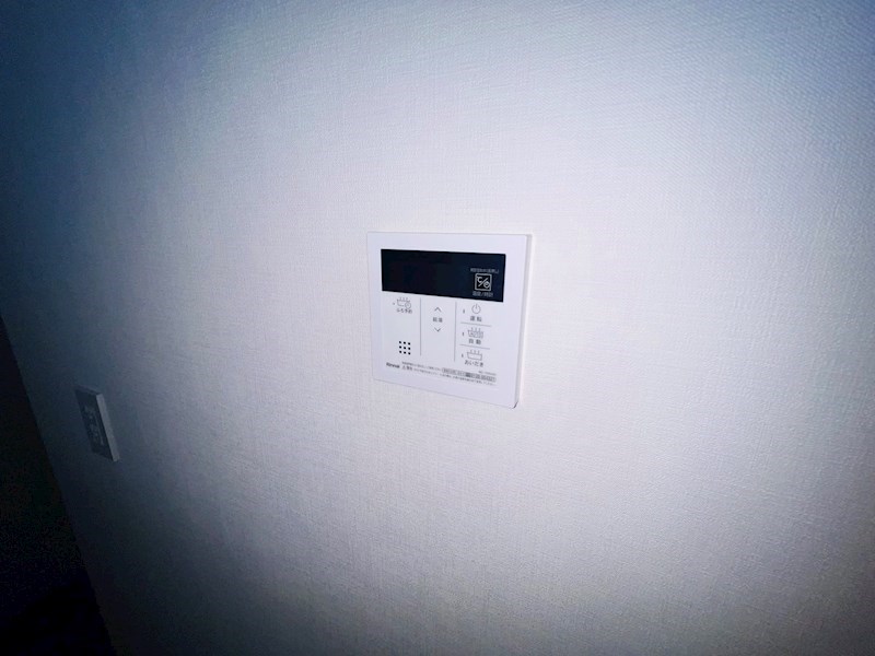 Vega Sanwa その他17