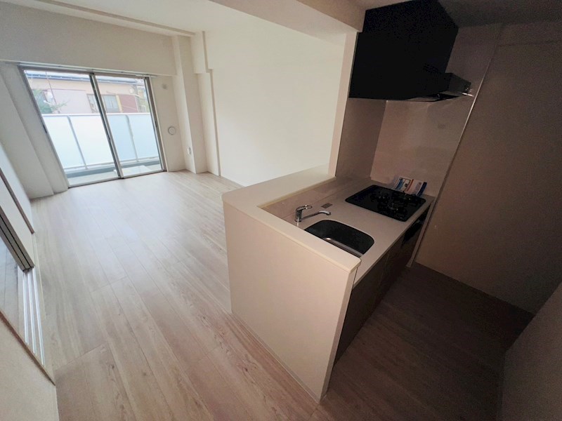 Vega Sanwa その他20