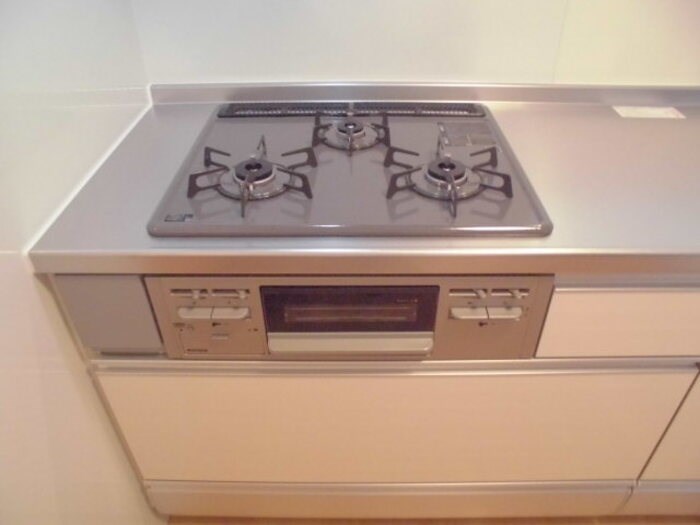 パークハイム その他8