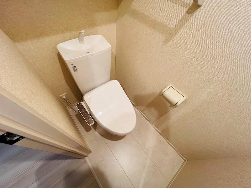 Ferro Pino その他1