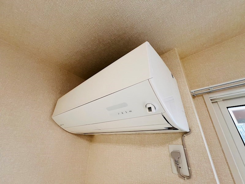 Ferro Pino その他5