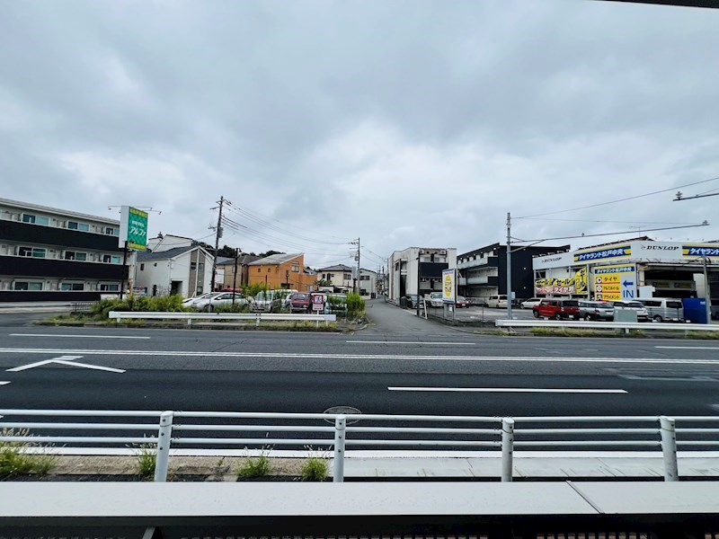 Ferro Pino その他6