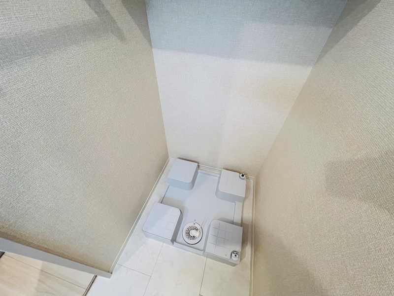 Ferro Pino その他8