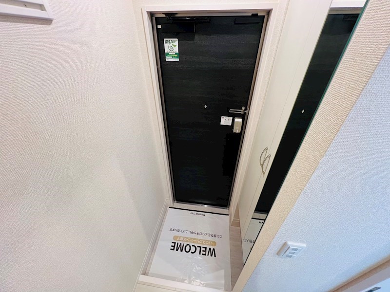 Ferro Pino その他10