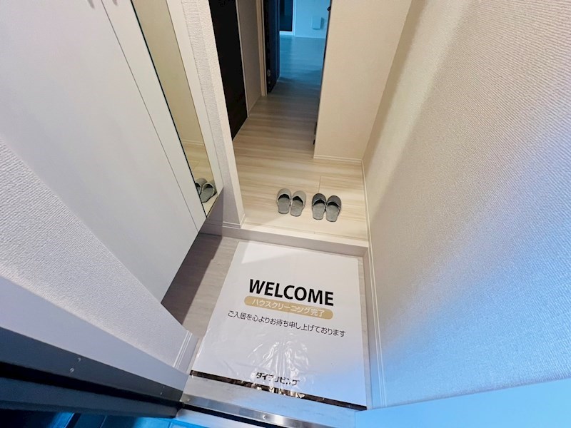 Ferro Pino その他11