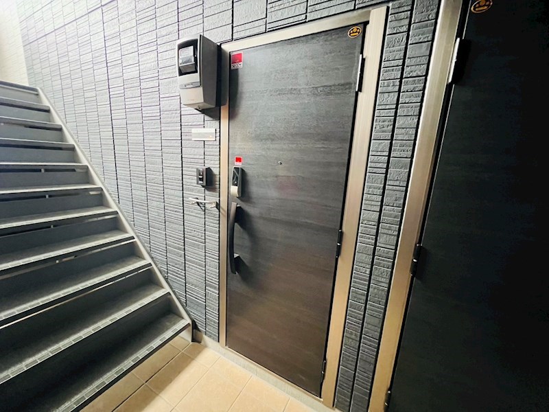 Ferro Pino その他12