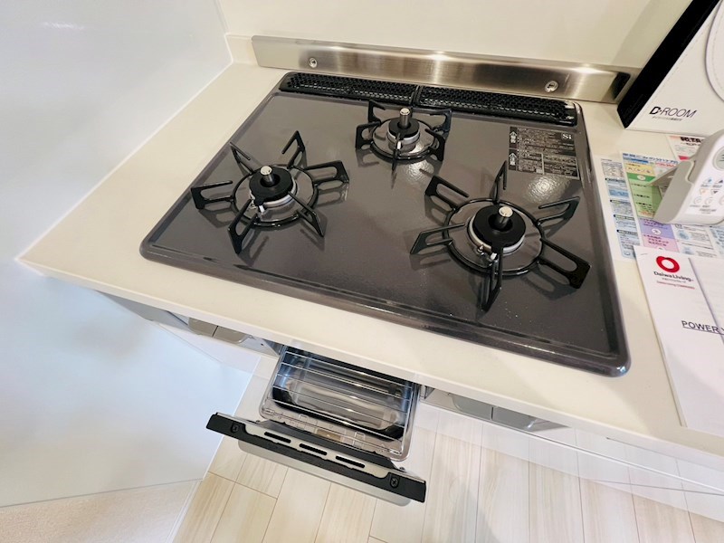 Ferro Pino その他19