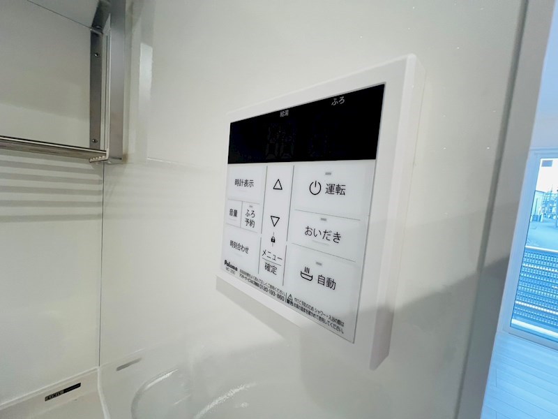 Ferro Pino その他20