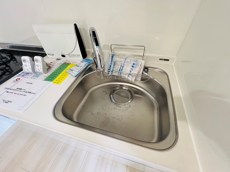 Ferro Pino その他21