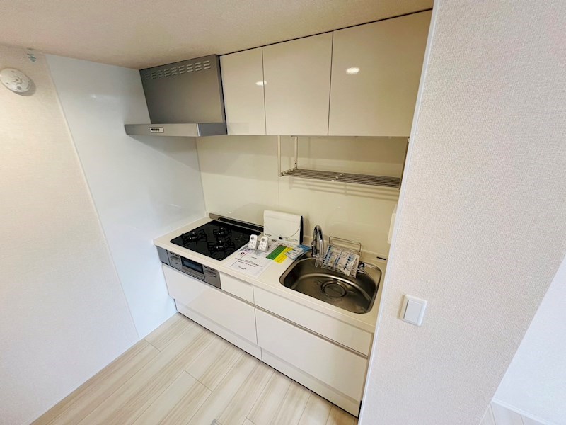 Ferro Pino その他22