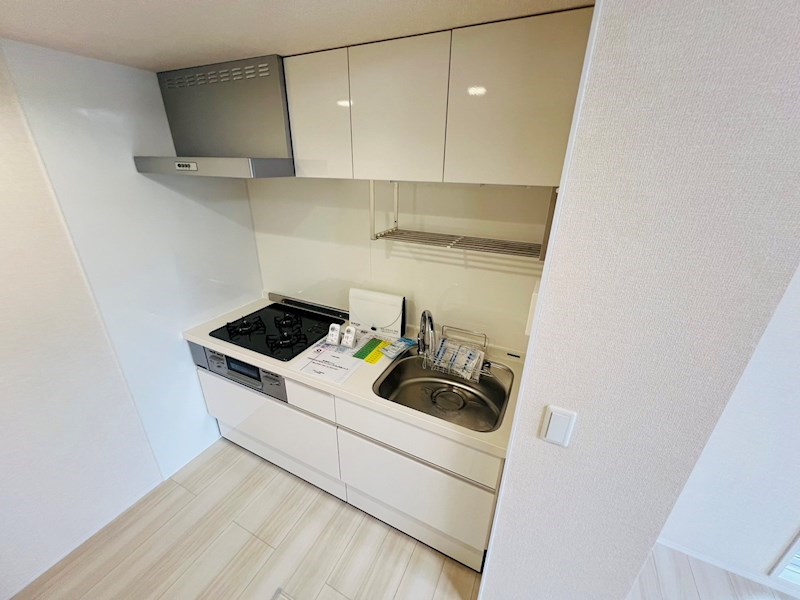 Ferro Pino その他23