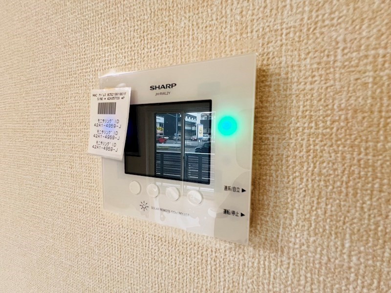 Ferro Pino その他25