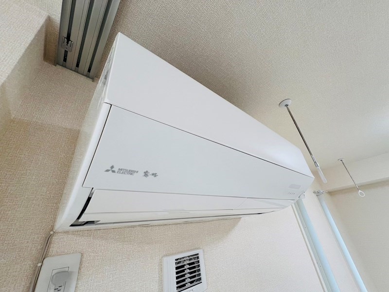 Ferro Pino その他30