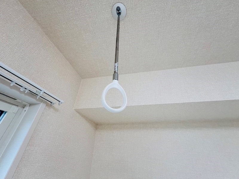 Ferro Pino その他31