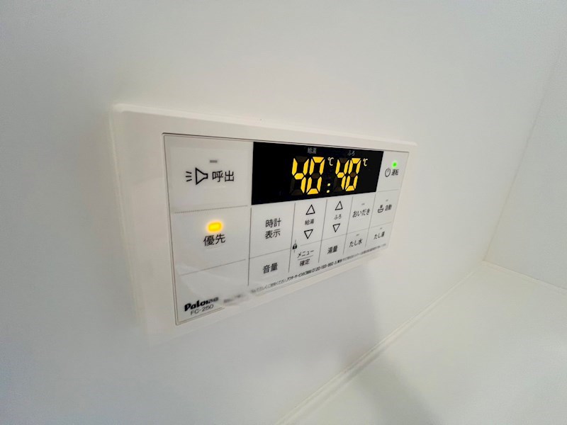 Ferro Pino その他38