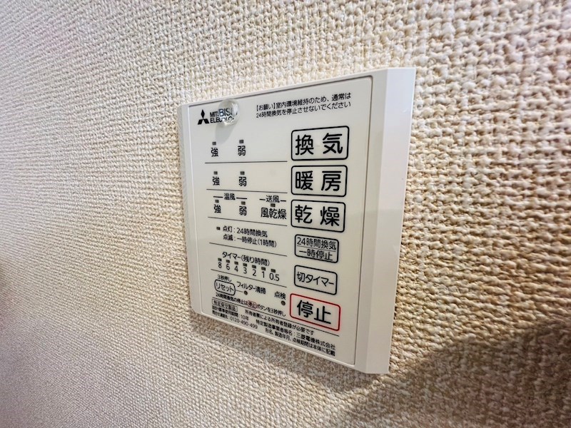 Ferro Pino その他42