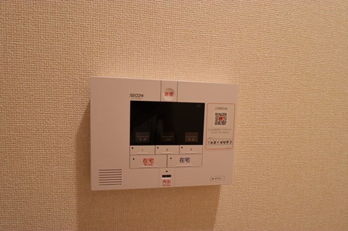 Ferro Pino その他4