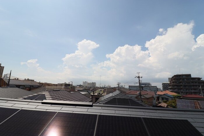 Ferro Pino その他6